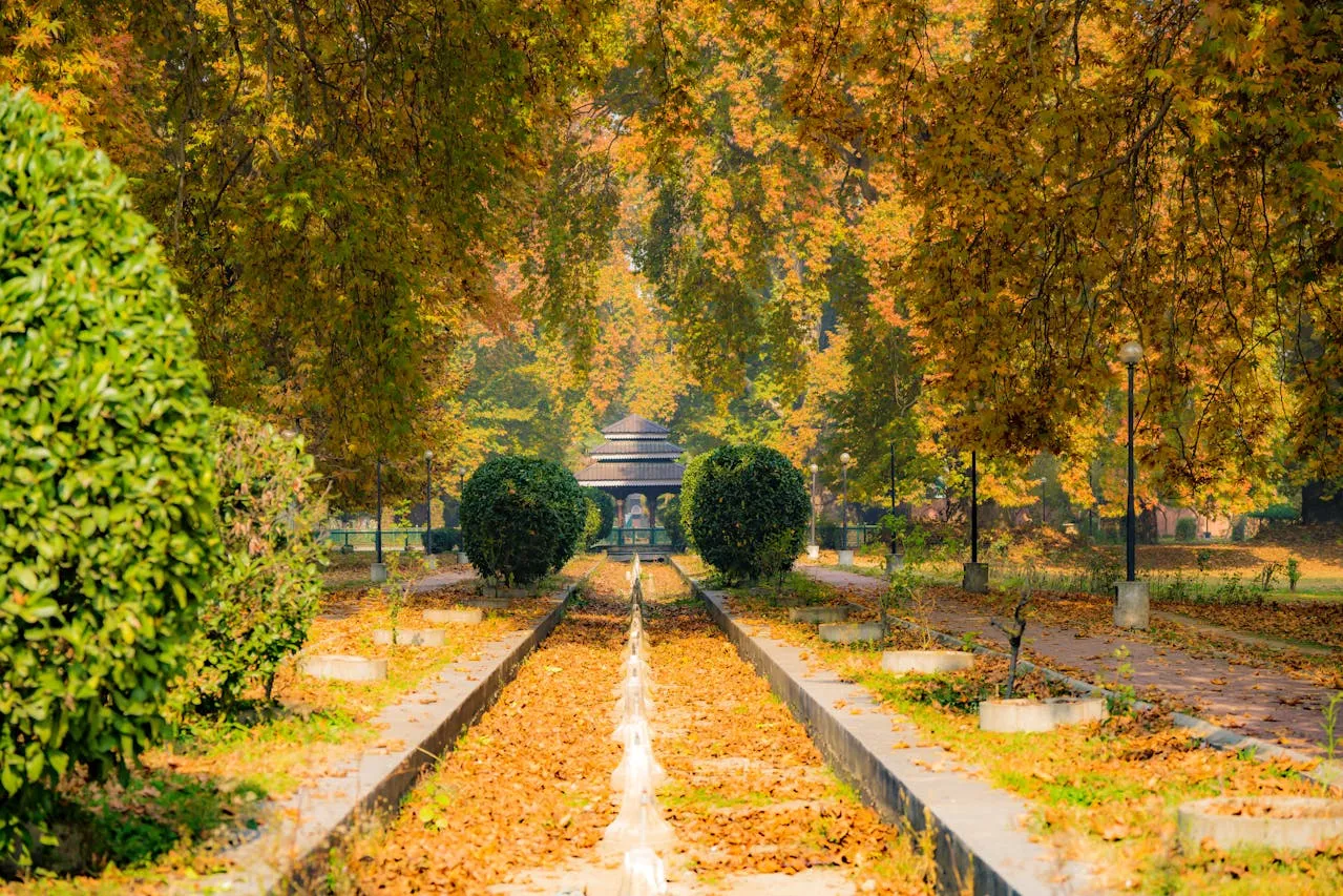 Kashmir Luxury Escape