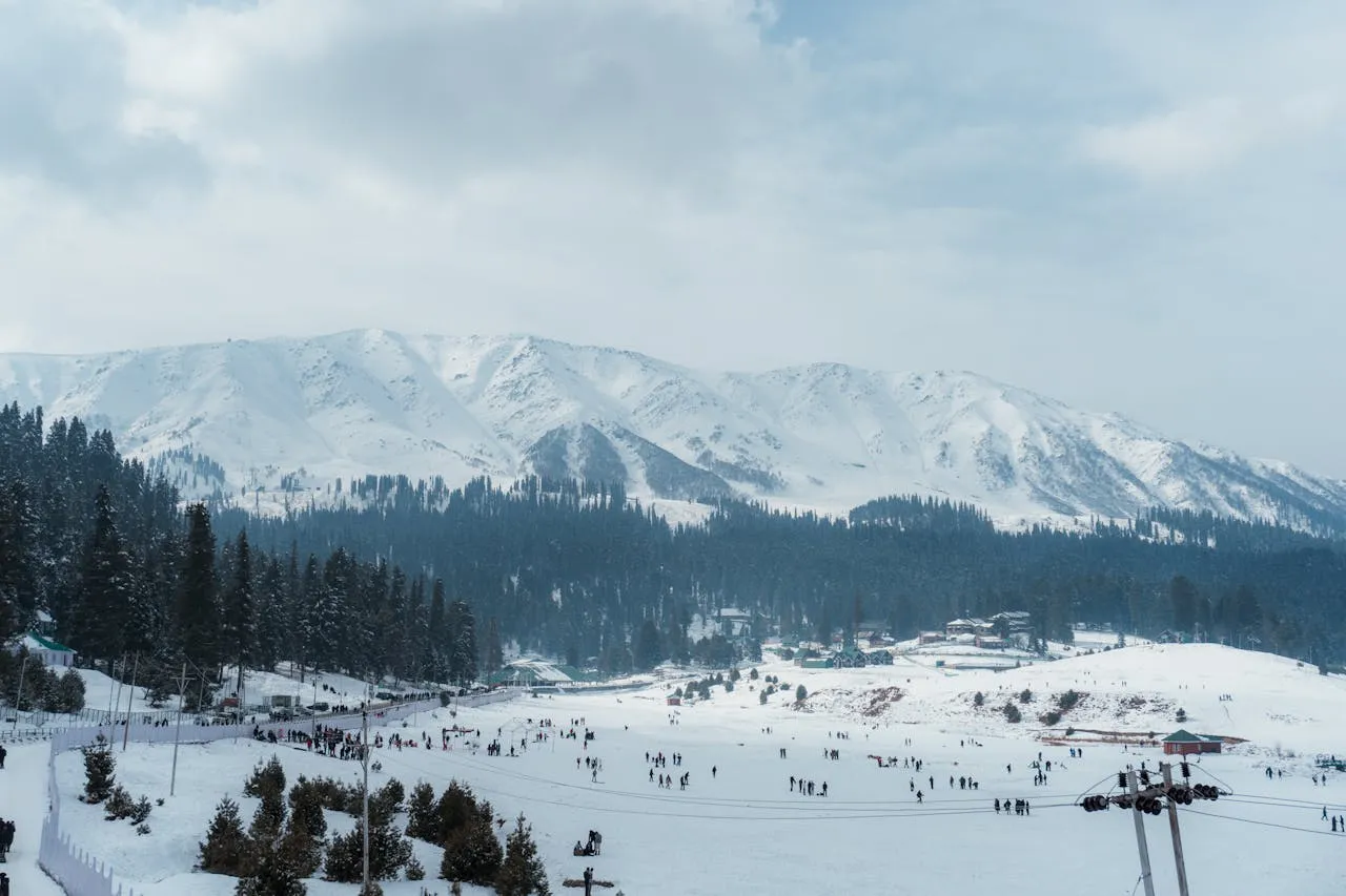 Trekking in Sonamarg: The Meadow of Gold